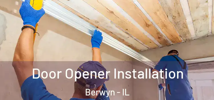 Door Opener Installation Berwyn - IL