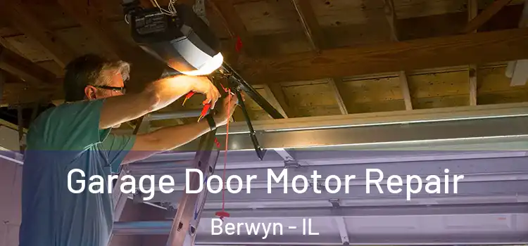 Garage Door Motor Repair Berwyn - IL