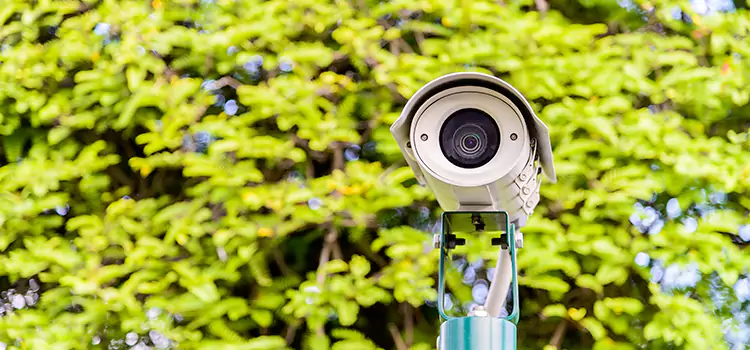 Advanced Surveillance Solutions for Every Need in Berwyn