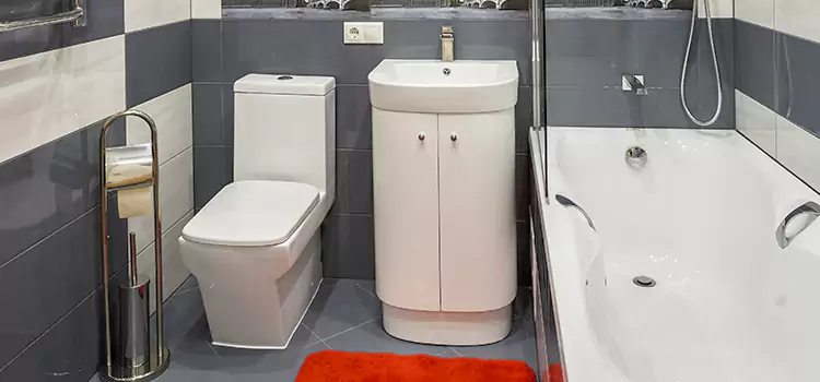 Hansgrohe Shaving Mirror Berwyn