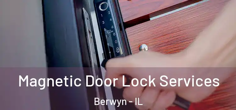 Magnetic Door Lock Services Berwyn - IL